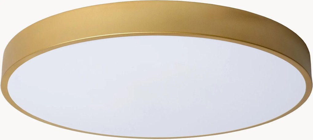 Plafoniera a LED con luce regolabile Unar