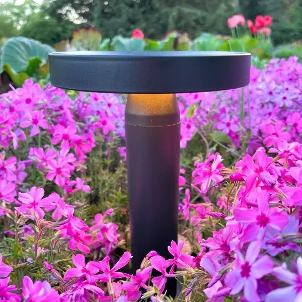 Zuma Line DT33611 - Lampada solare LED CARLI LED/2W/2000 mAh IP44 nero