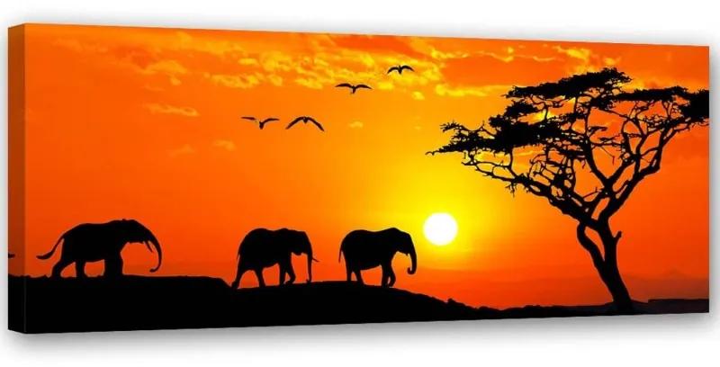 Quadro su tela, Africa tramonto elefanti