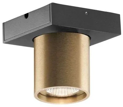 Focus 1 LED Plafoniera 3000K Brass - LIGHT-POINT