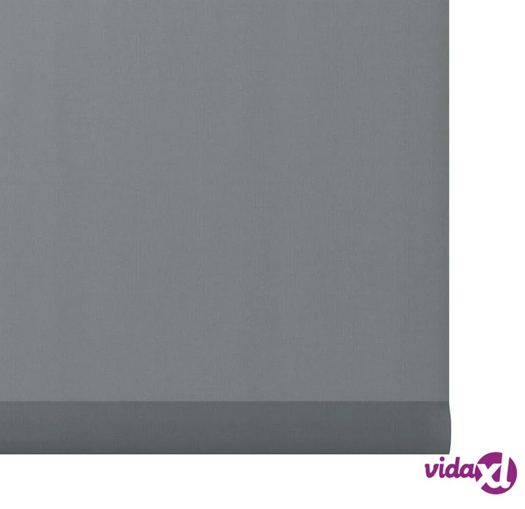 Decosol Tendina a Rullo Traslucida Antracite 107x160 cm