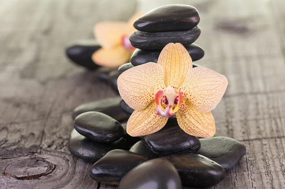 Carta da parati – Orchidee e pietre Zen