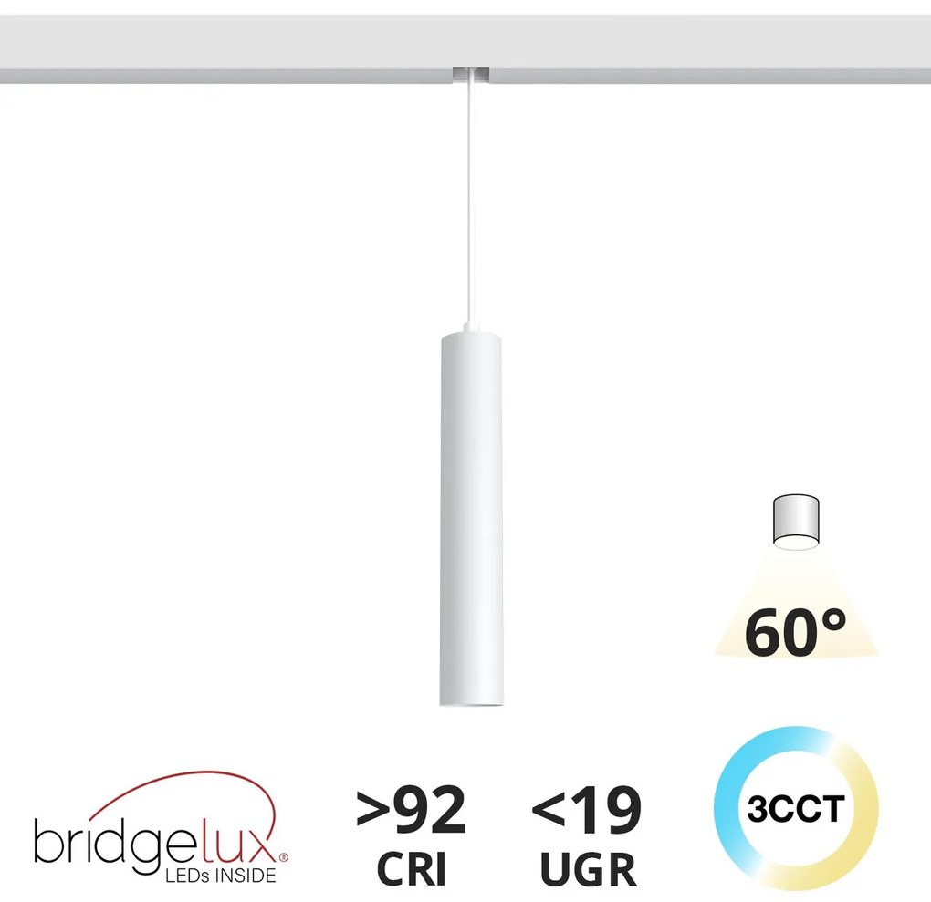 Lampada a Sospensione 10W Magnetica CCT CRI92 Bianca Colore Bianco Variabile CCT