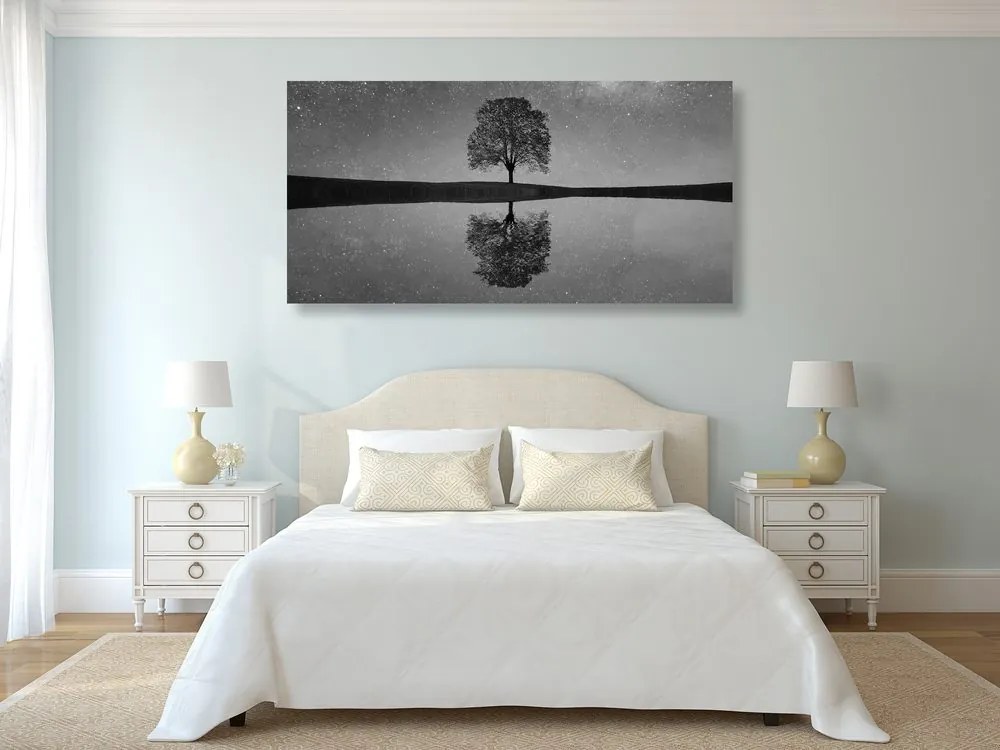 Quadro su tela – Cielo stellato sopra un albero solitario in bianco e nero