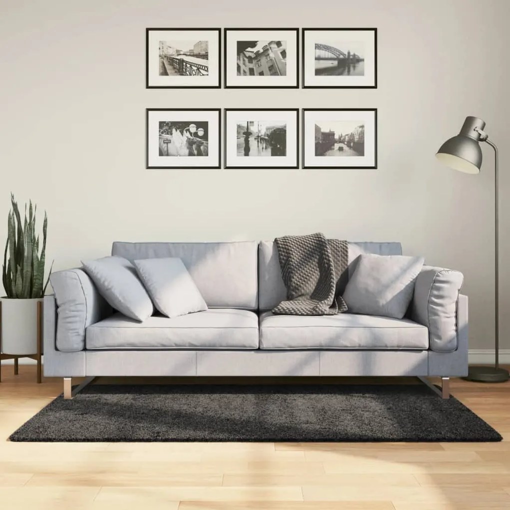 Tappeto Shaggy Pamplona A Pelo Lungo Moderno Antracite 80x150cm /
