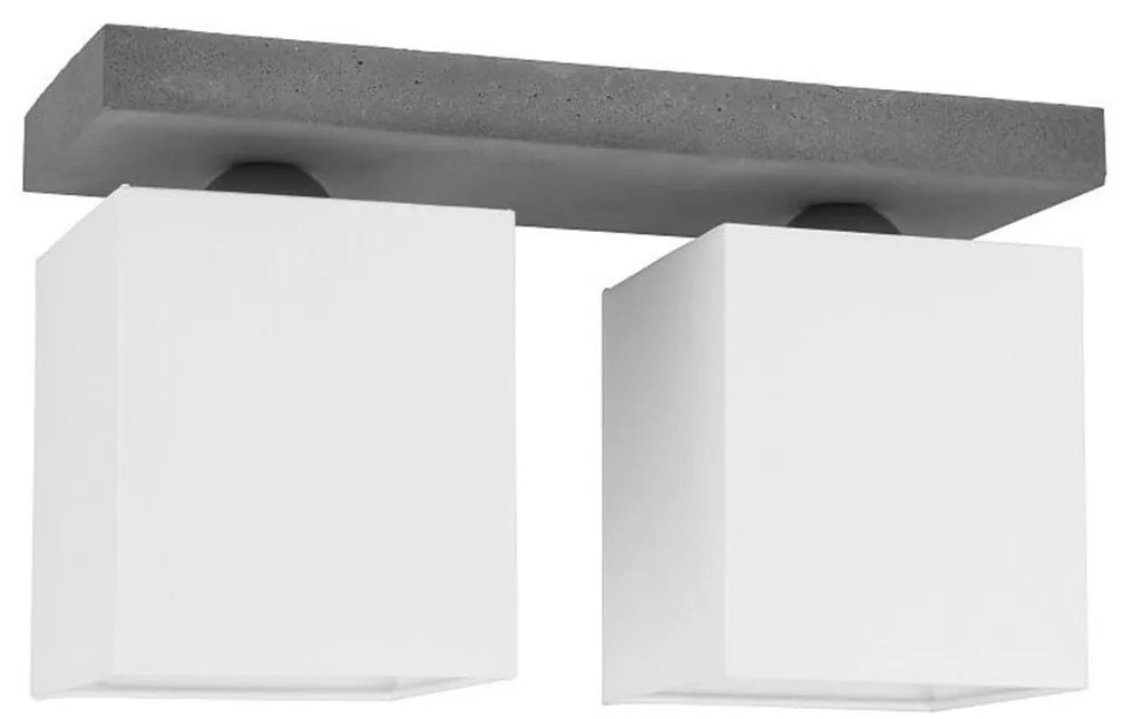 Spot-Light 2241236 - Plafoniera GREAT 2xE27/25W/230V cemento