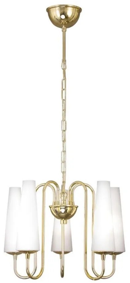 Zuma Line 1127 - Lampadario a sospensione con catena MAGNUM 5xE14/40W/230V oro