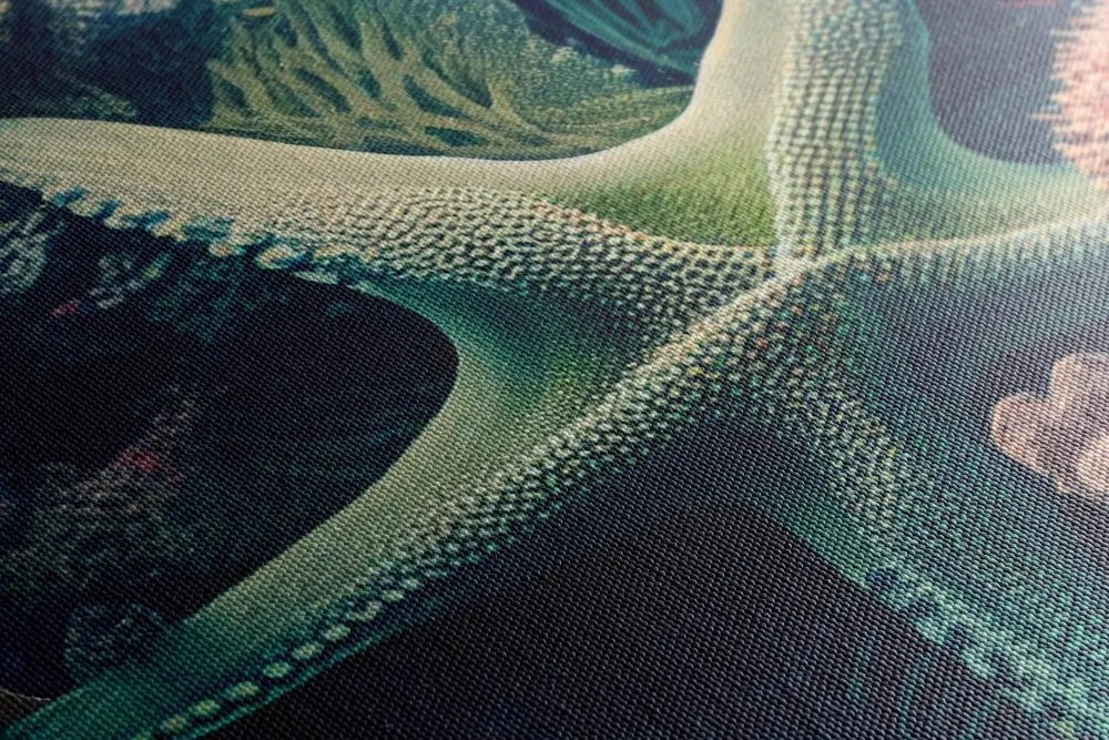 Quadro su tela – Stelle marine surrealiste