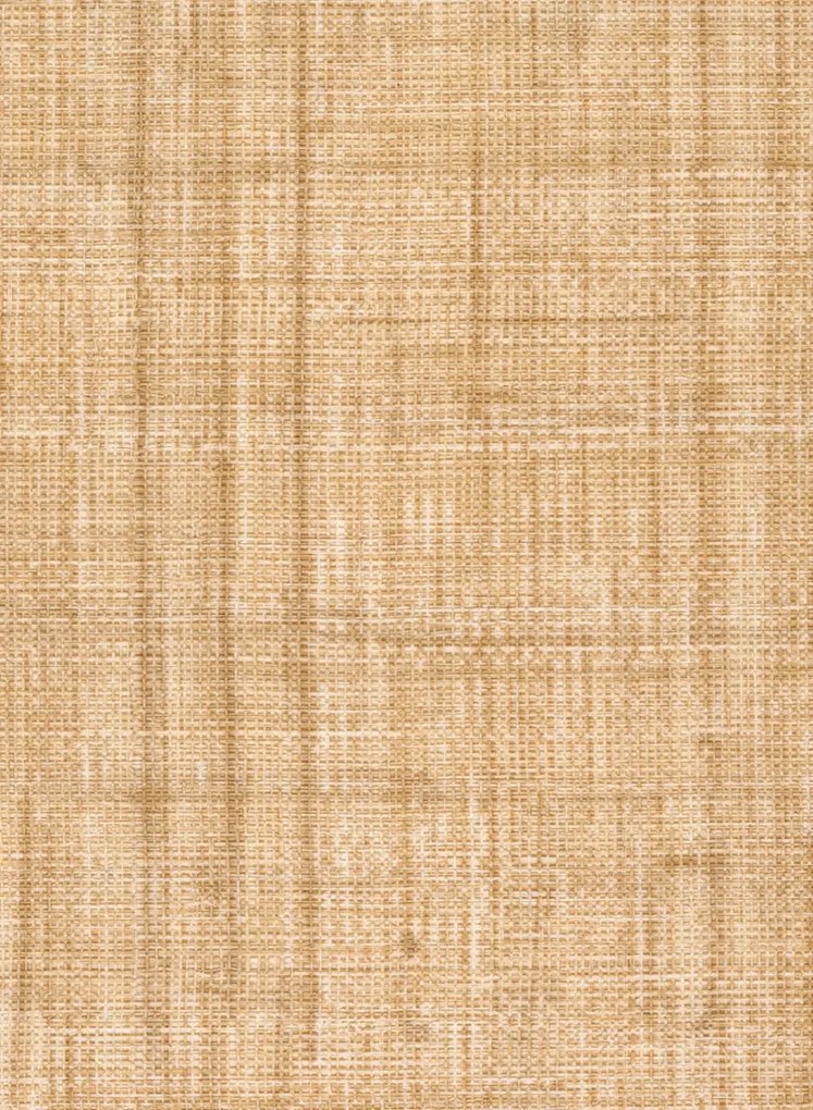 Élitis Carta da parati Abaca - VP 983 06