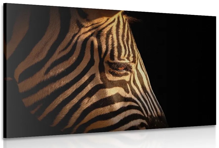 Stampa su tela – Ritratto di zebra
