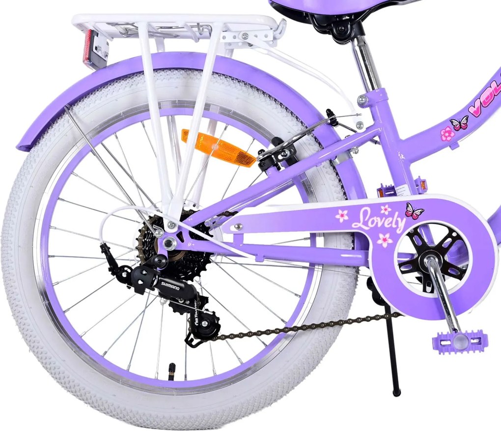 Bicicletta per Bambine 20" Stabilizzatori e Freni Vbrake con Cestino e Portabambola Viola...
