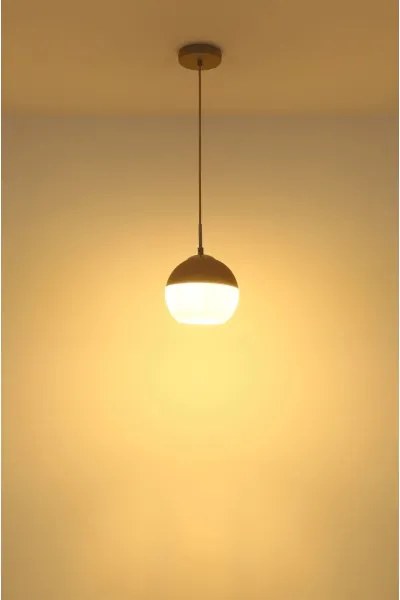 Globo 15999H - Lampada a sospensione su cavo RAGUSA 1xE27/60W/230V Ø 20 cm