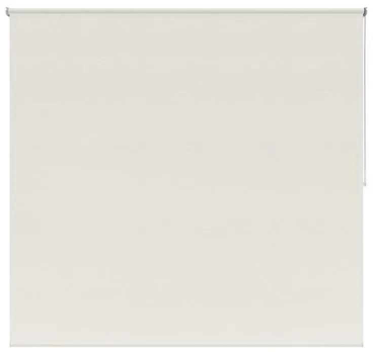 Tenda a rullo filtrante INSPIRE Mackay bianco 220x250 cm