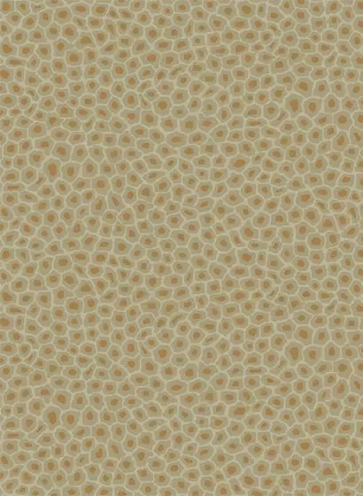 Tapete Senzo Spot von Cole & Son - Olive/ Gold