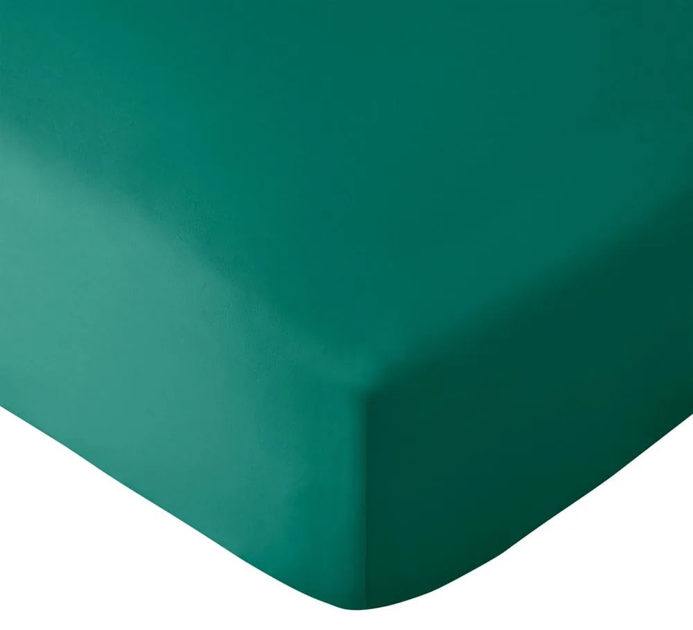 Lenzuolo con angoli verde scuro in microfibra 185x200 cm So Soft Easy Iron – Catherine Lansfield
