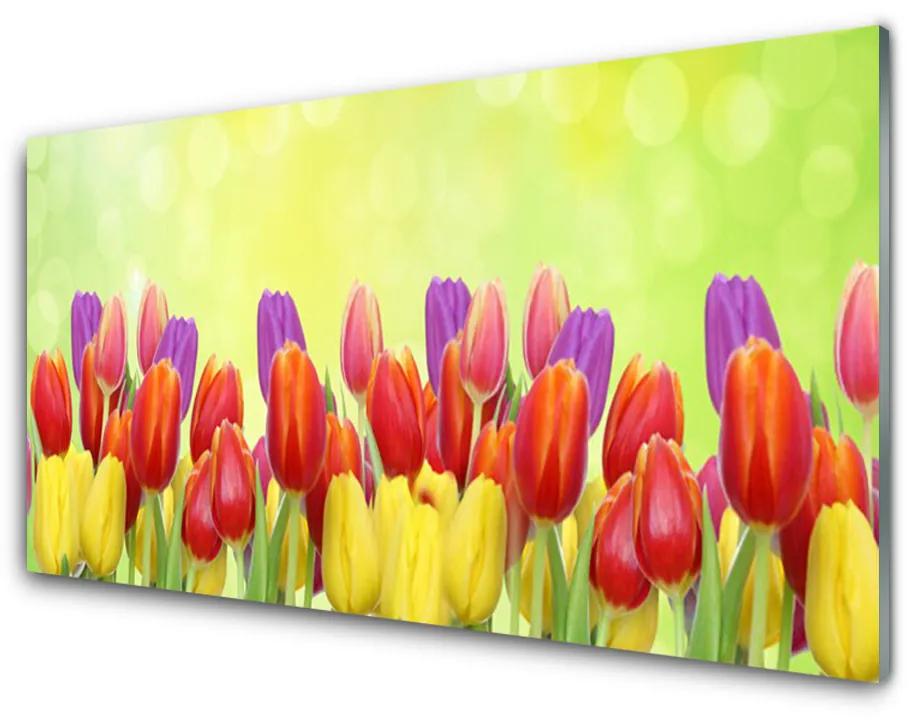 Quadro vetro acrilico Tulipani, fiori, piante 100x50 cm