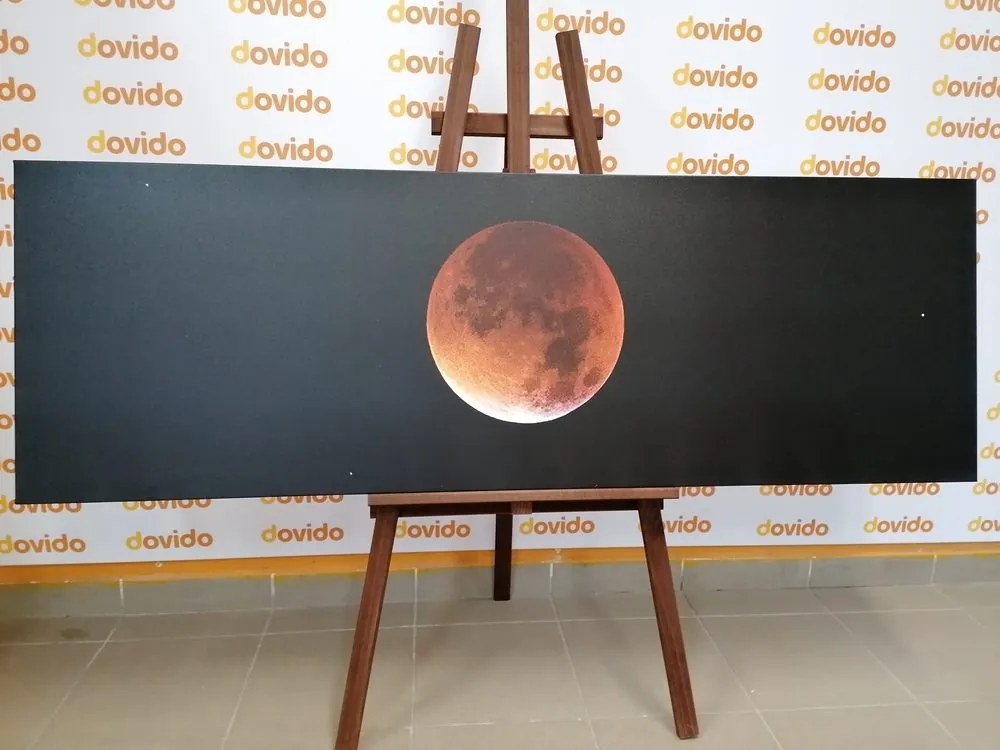 Stampa su tela – Luna nel cielo notturno