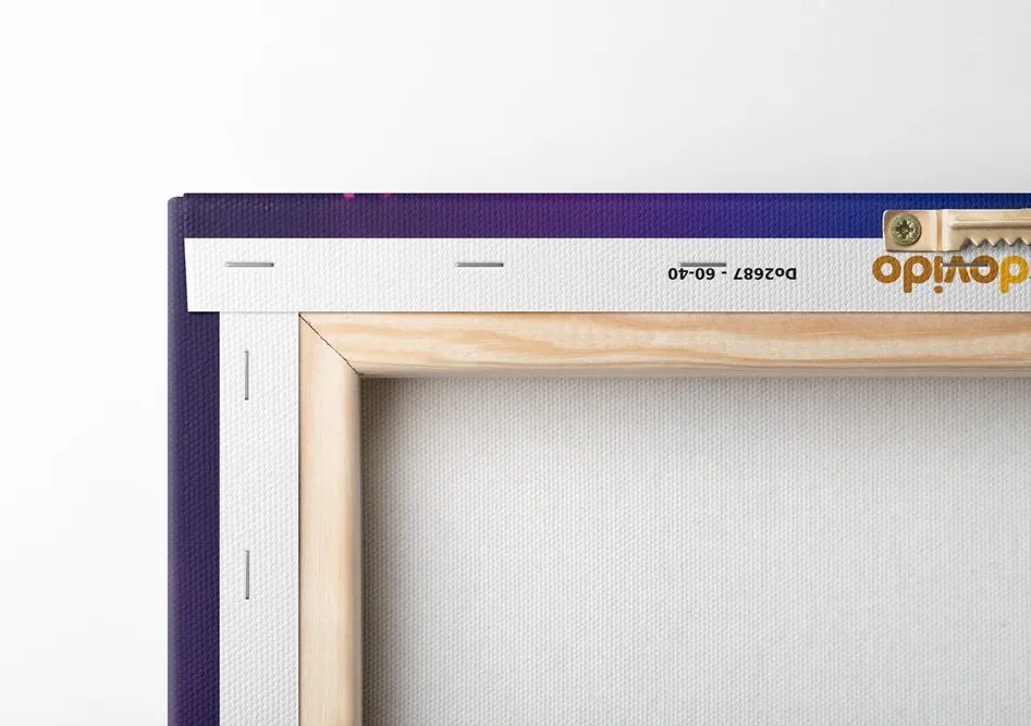 Quadro su tela – Aquila con cuffie