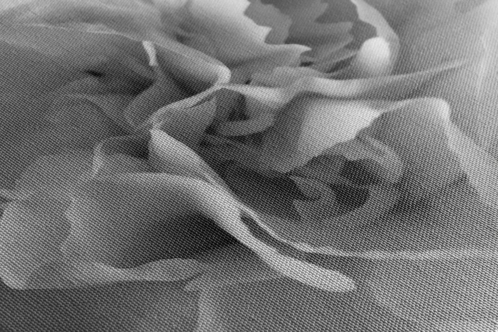 Stampa su tela – Petali di garofano in bianco e nero