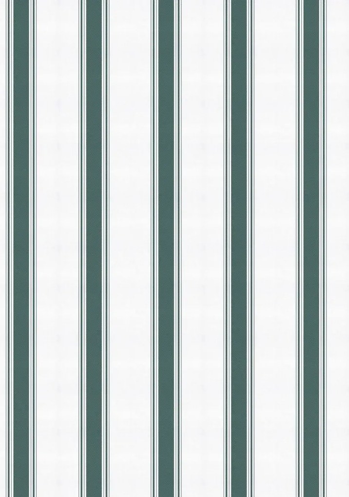 Coordonne Carta da parati Stripe 5 - Parra