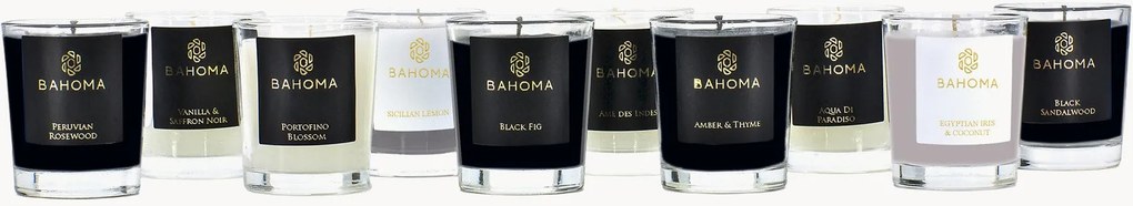 Set di 10 candele profumate fatte a mano Discovery Collection (agrumi, fiori e legni)