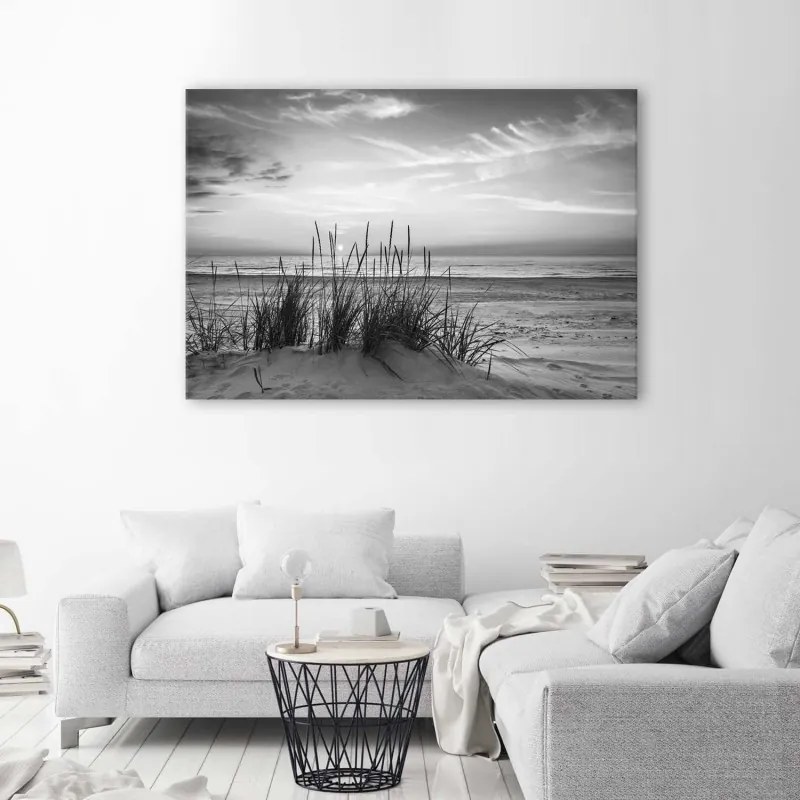 Quadro su tela, Erba sulla spiaggia grigia  Dimensioni 120x80