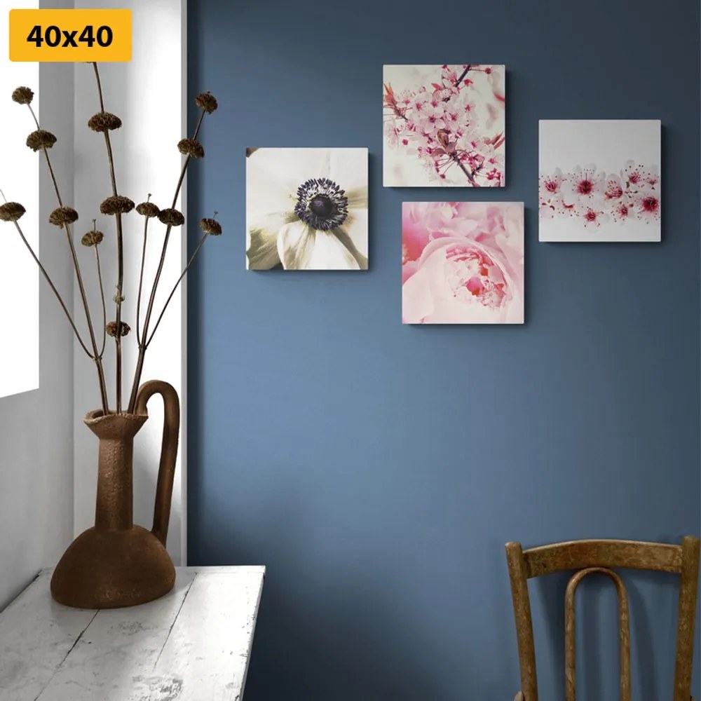 Set di quadri – Delicatezza dei fiori