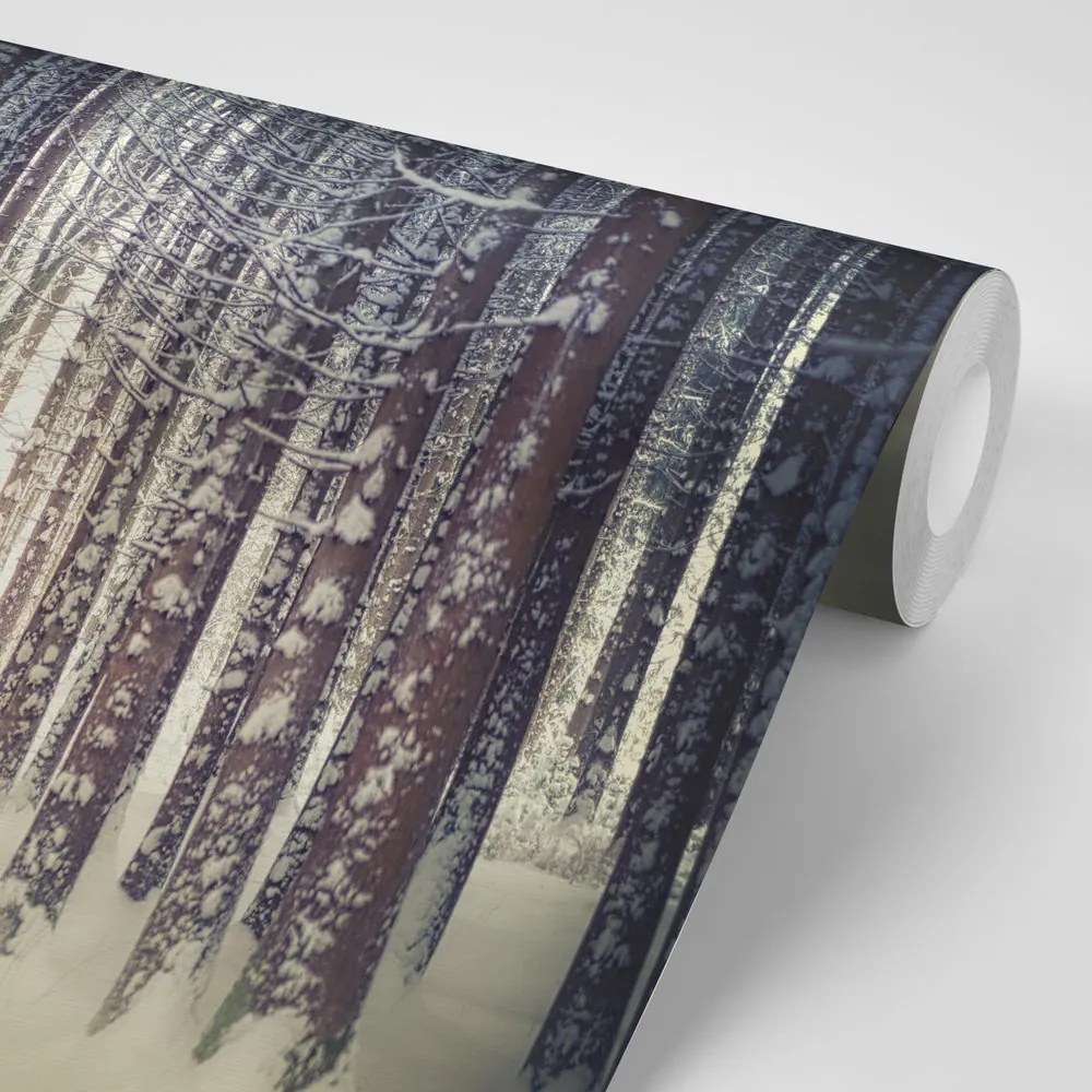 Carta da parati autoadesiva – Foresta coperta di neve