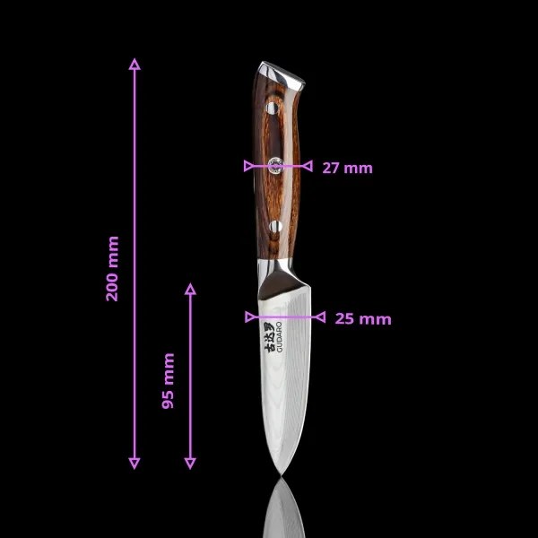 Gudaro - Coltello da cucina in acciaio damascato FENG 3,5", 67 strati d'acciaio, lunghezza 9,5 cm
