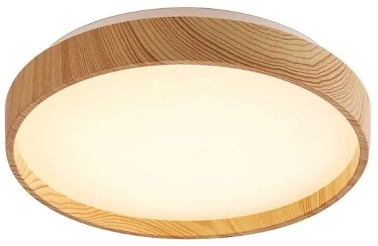 Rabalux 71143 - Plafoniera LED LEANA LED/12W/230V 3000K diametro 26 cm