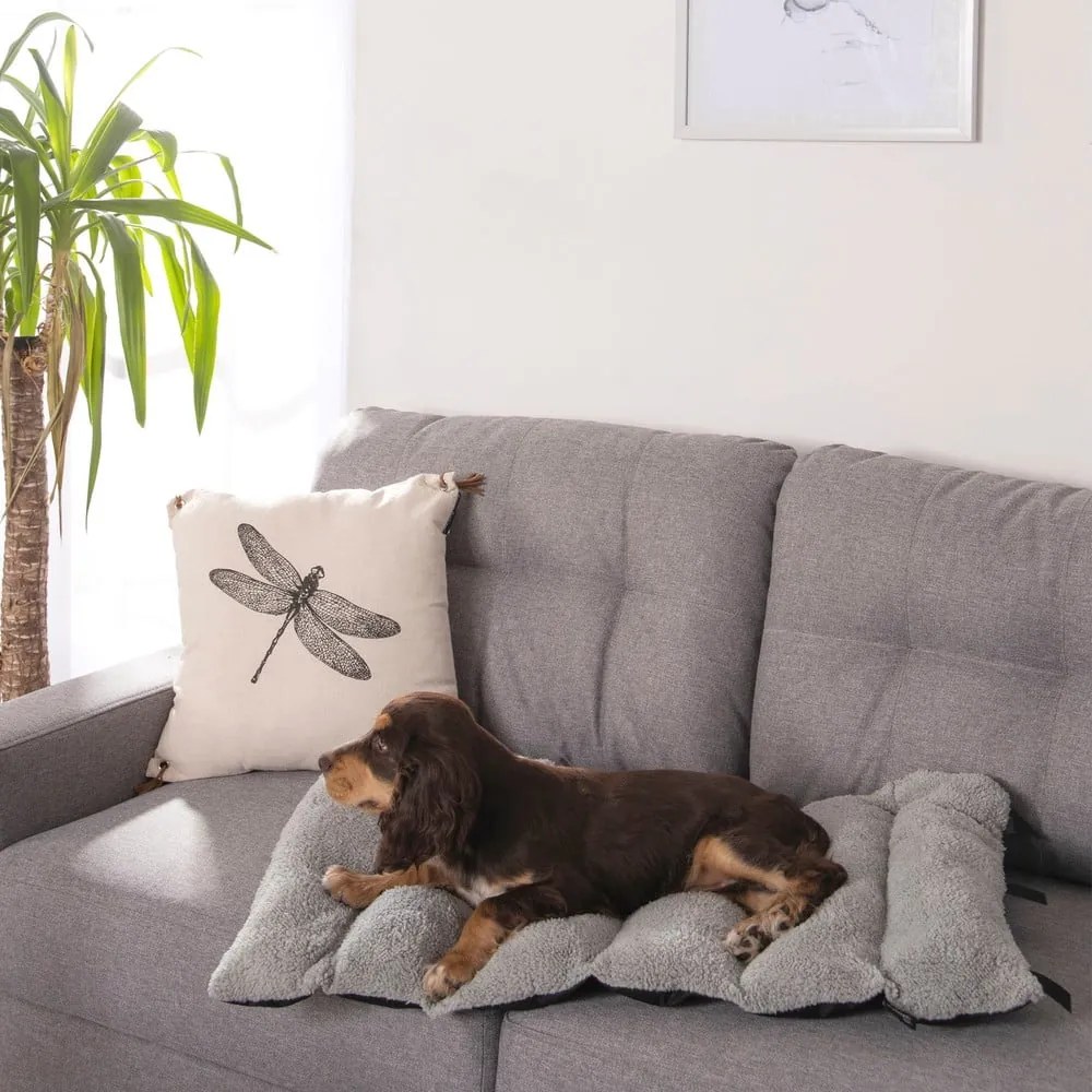 Coperta nera per cani con agnello 50x80 cm - Love Story