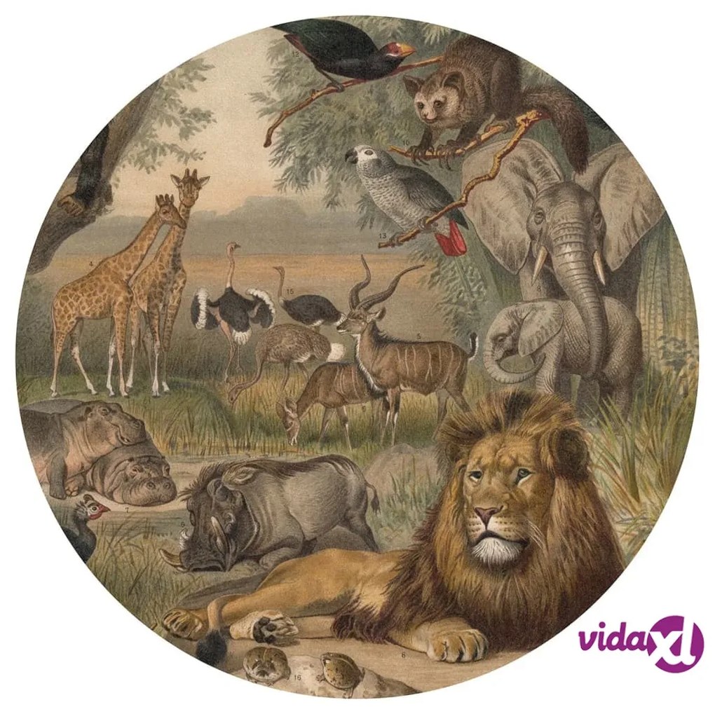 WallArt Carta da Parati Circolare Animals of Africa 142,5 cm