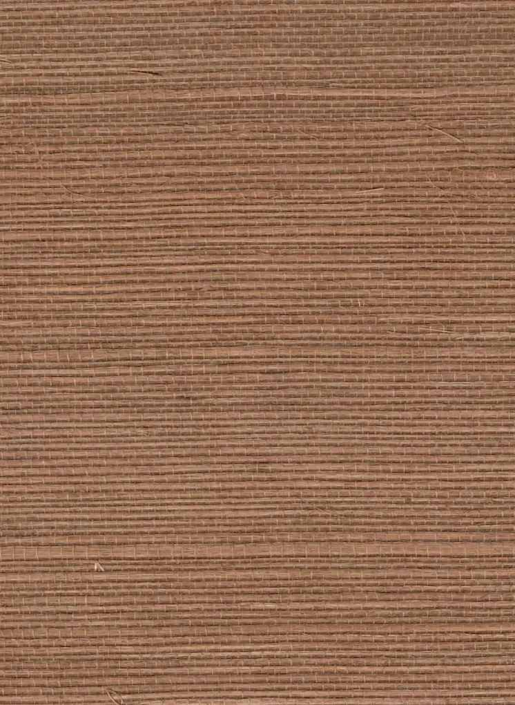 Élitis Tapete Sisal - RM 1069 55