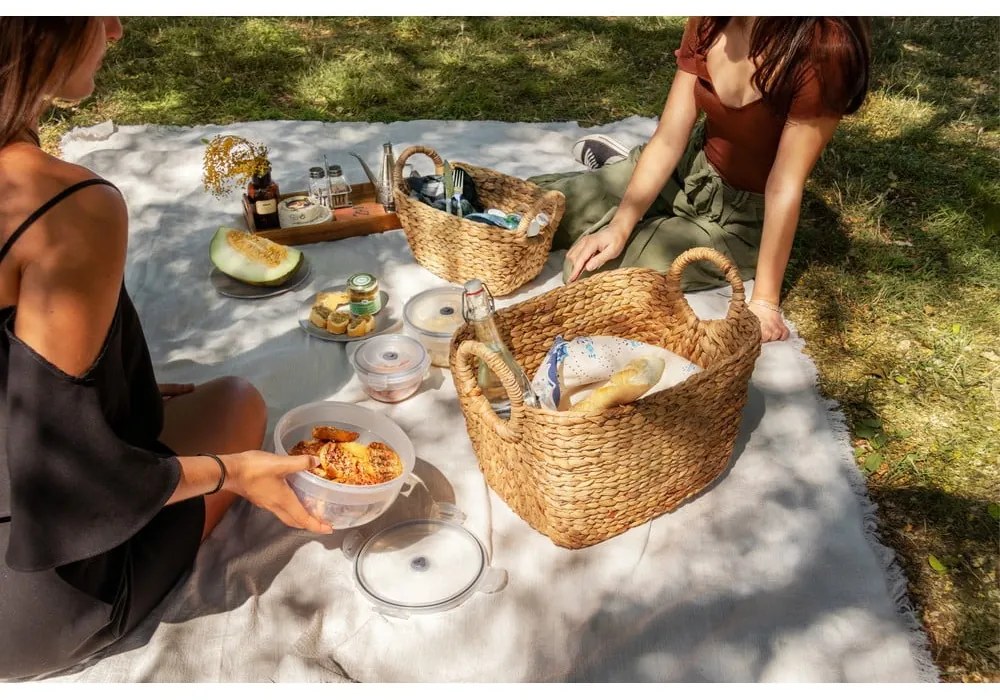 Set di 4 scatole per alimenti e pompa per il vuoto Flavia - Compactor