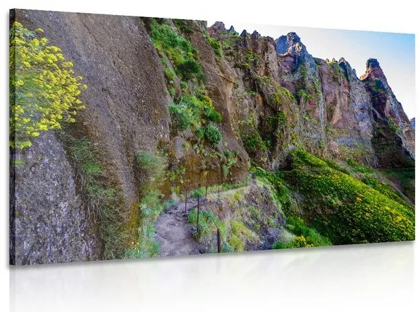 Quadro su tela – Sentiero turistico stretto