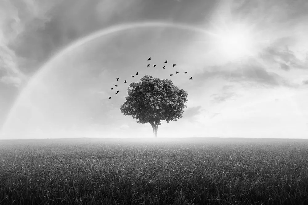 Carta da parati – Albero solitario in bianco e nero sul prato