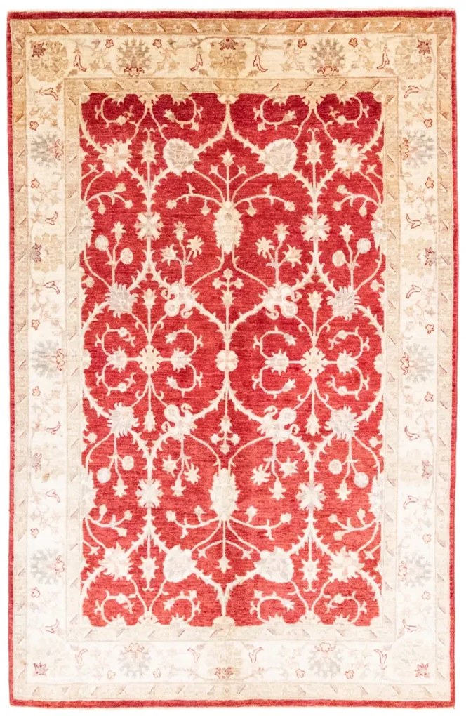 Ziegler Tappeto 230 x 150 (Afghanistan)