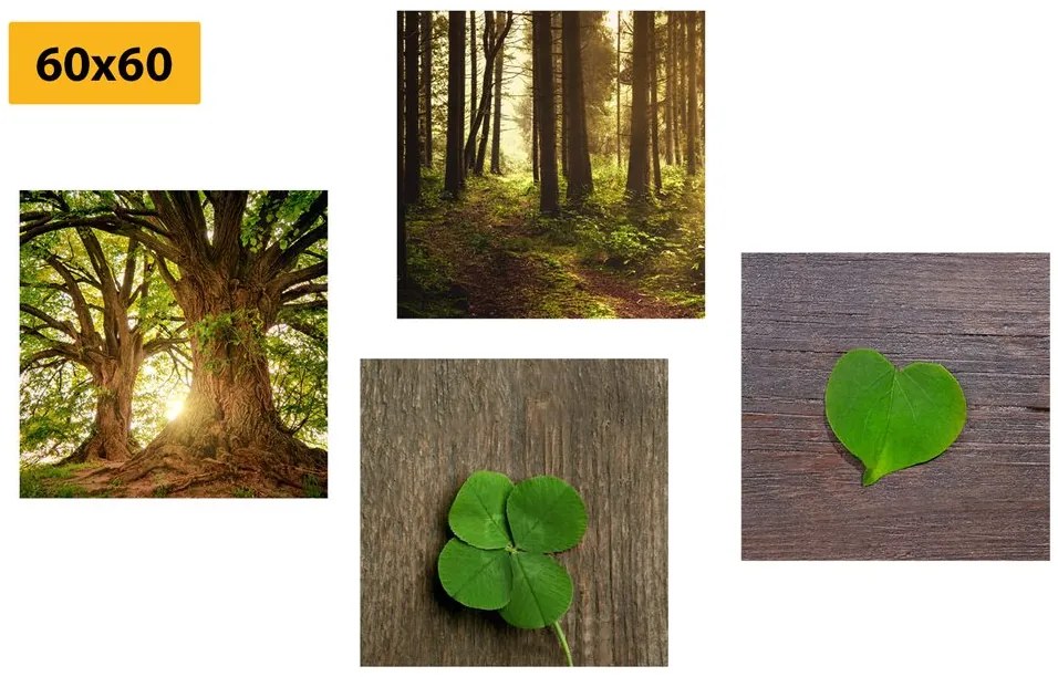 Set di quadri – Brezza della natura