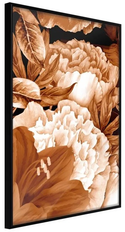 Poster  Peonies in Sepia  Cornice Quadri Cornice nera, Larghezza x Altezza Home decor 20x30