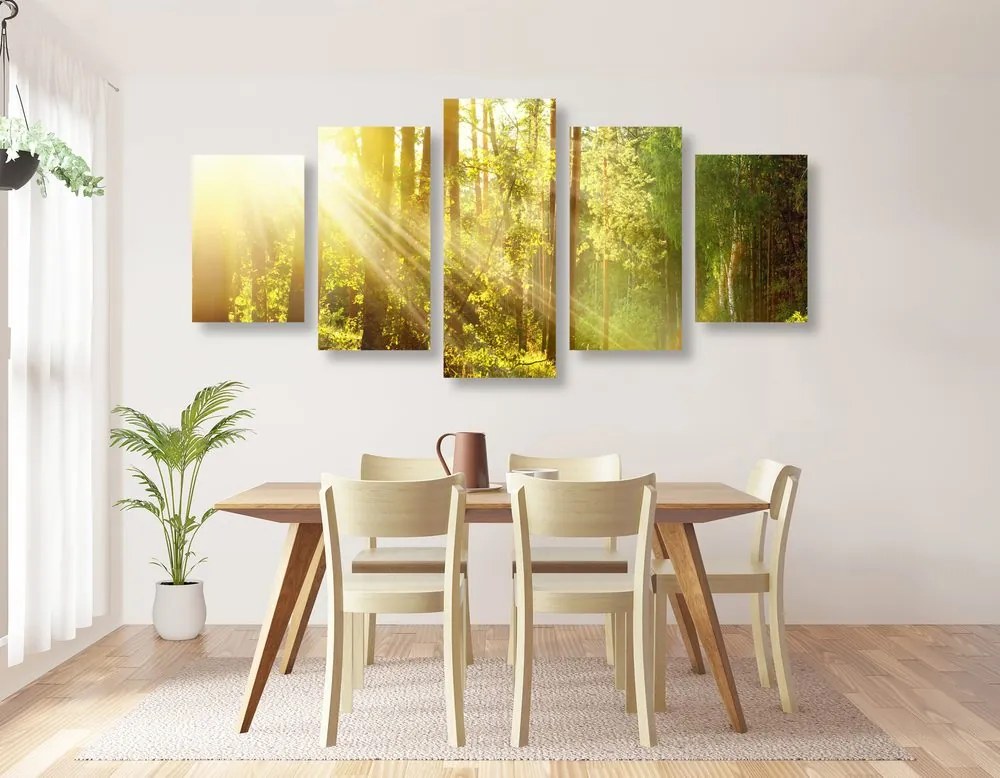 Quadri 5 pezzi – Raggi di sole nella foresta
