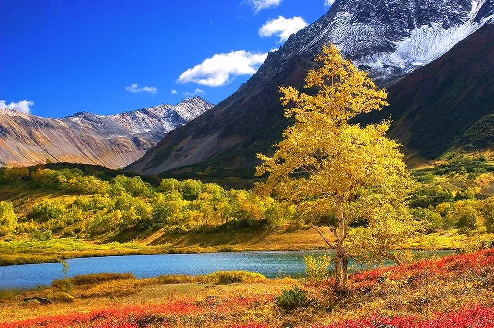Carta da parati – Natura meravigliosa in Kamchatka
