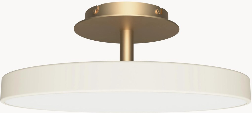 Lampada a LED grande con luce regolabile Asteria, varie misure