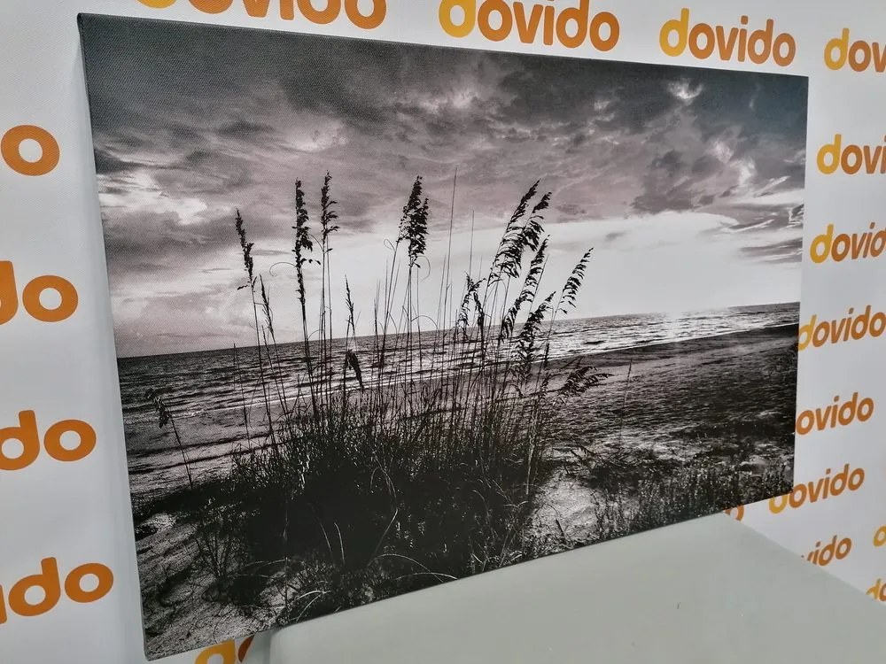 Stampa su tela – Tramonto sulla spiaggia in bianco e nero