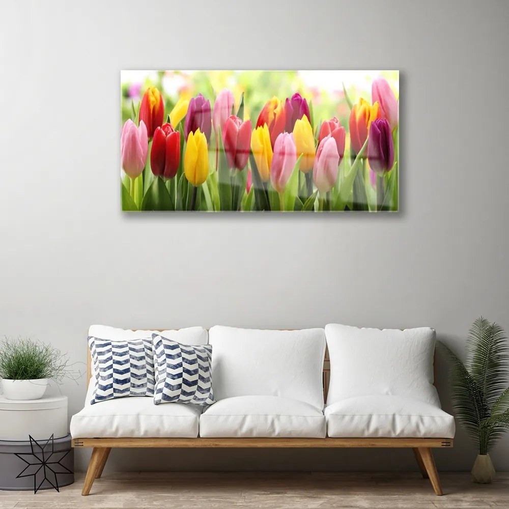 Quadro vetro Tulipani Fiori della natura 100x50 cm