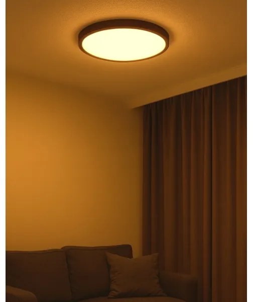 Plafoniera LED 40W/230V 3000/4000/6500K Ø 50 cm marrone