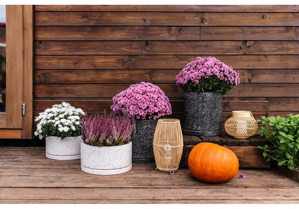 Vasi in cemento in set da 2 pezzi ø 30 cm Terrazzo - Bonami Selection