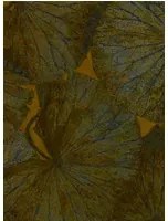 Seerosen Tapete Taisho Deco von Zoffany - Tigers Eye