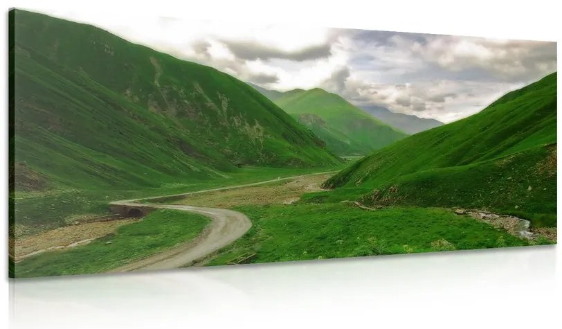 Stampa su tela – Natura verde