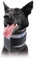 Collare Cervicale per Cani KVP Nero (9-36 cm)