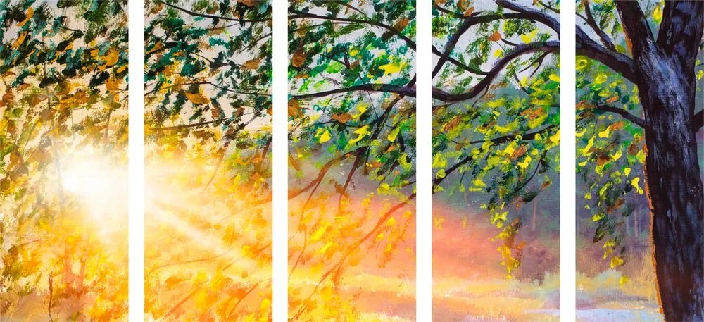 Quadri 5 pezzi – Alba nella foresta